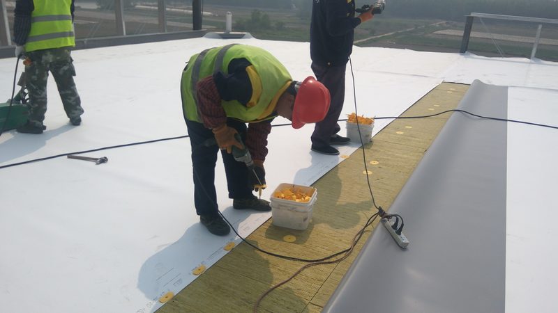 水泥基防水材料加盟代理：揭秘行业选择与机遇**